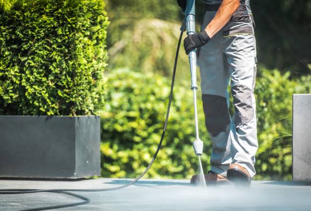 Animal Enclosure Cleaning in Highland Heights, OH